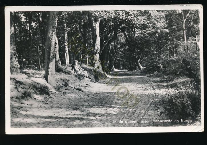 Haamstede - Burgh - De Duinen [KRST009-1111, Verzamelen, Ansichtkaarten | Nederland, Gelopen, Zeeland, 1960 tot 1980, Verzenden