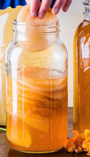 Ambachtelijke Azijnmoeder – Je kan eigen natuurazijn maken!, Diversen, Levensmiddelen, Ophalen of Verzenden