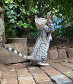 Bengaal Silver katertje €650 met stamboom, Kater, Gechipt