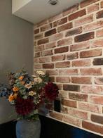 Bak Steenstrips, Doe-het-zelf en Verbouw, Metselstenen, Ophalen, Nieuw, Bakstenen