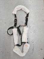 Bont halster full Waldhausen, Dieren en Toebehoren, Ophalen of Verzenden, Zo goed als nieuw, Overige soorten