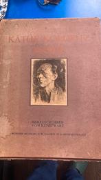 Kathe Kolwitz Mappe., Antiek en Kunst, Kunst | Etsen en Gravures, Ophalen of Verzenden