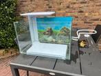 Superfish Quadro 70 Pro - Aquaria - Wit, Ophalen, Gebruikt, Leeg aquarium