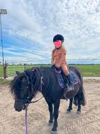 Kinder pony te koop, Dieren en Toebehoren, Pony's, Ruin, Zadelmak, A pony (tot 1.17m), 3 tot 6 jaar