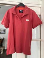Max Verstappen dames polo maat xxl, Max Verstappen, Overige kleuren, Maat 46/48 (XL) of groter, Ophalen of Verzenden