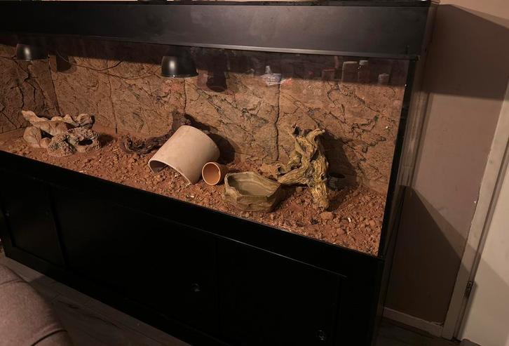 Terrarium, Dieren en Toebehoren, Reptielen en Amfibieën | Toebehoren, Zo goed als nieuw, Ophalen