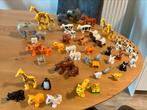 Duplo : Familie dieren en losse dieren - zie foto ‘s, Kinderen en Baby's, Speelgoed | Duplo en Lego, Ophalen, Gebruikt, Duplo