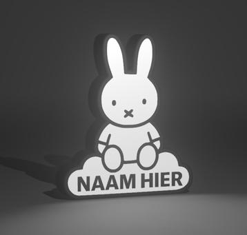 Nijntje Lightbox Stijlvol, Persoonlijk beschikbaar voor biedingen