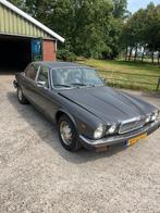Jaguar Sovereign 4.2 AUT 1985 Grijs, Auto's, Automaat, Achterwielaandrijving, Beige, Sovereign