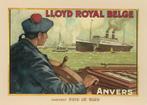 paquebot  PAYS DE WAES (LLOYD ROYAL BELGE), Ophalen of Verzenden, Nieuw, Motorboot, Kaart, Foto of Prent