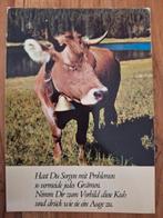 Dieren - Rund - Koe, Ophalen of Verzenden, Gelopen, Hond of Kat