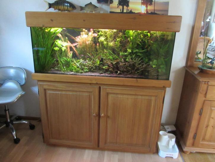 Aquarium met mooie eiken kast en kap, Dieren en Toebehoren, Vissen | Aquaria en Toebehoren, Zo goed als nieuw, Leeg aquarium, Ophalen