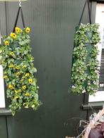 planten actie, Ophalen, Zomer, Overige soorten, Halfschaduw