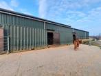 Shetlander stalling aangeboden in kudde verband, Dieren en Toebehoren, Stalling en Weidegang, Weidegang