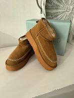 NIEUW: Manfield Boots / maat 40 / Chestnut, Kleding | Dames, Schoenen, Bruin, Verzenden, Lage of Enkellaarzen, Nieuw