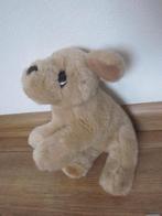 Keel Toys SIgnatude Cuddle Puppies pluche  lichtbruine hond, Ophalen of Verzenden, Nieuw, Hond