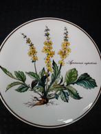 Villeroy en boch botanica onderzetter, Antiek en Kunst, Ophalen of Verzenden