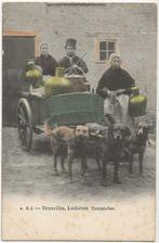 JM538C Brussel een melkboer met zijn Hondenkar 1900, Verzamelen, Ansichtkaarten | Buitenland, België en Luxemburg, Ongelopen, Voor 1920