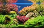 aquarium ledverlichting, leverbaar voor alle merken aquaria, Dieren en Toebehoren, Vissen | Aquaria en Toebehoren, Nieuw, Ophalen of Verzenden