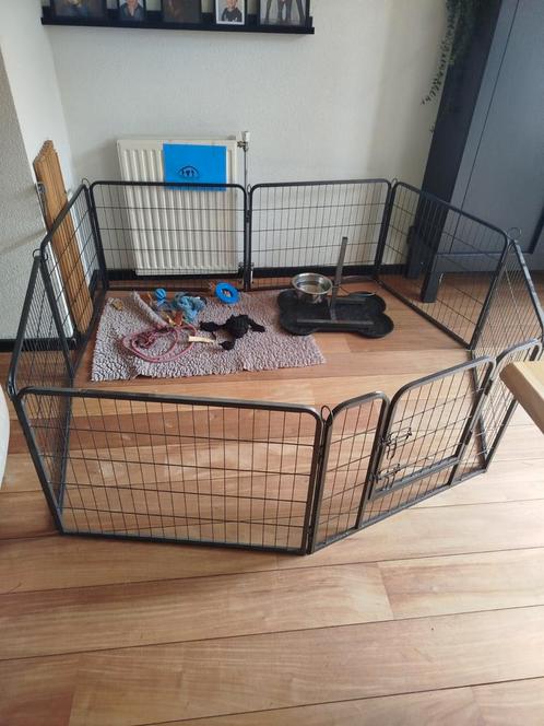 Puppyren  hondenren  konijnenren, Dieren en Toebehoren, Hondenhokken, Gebruikt, Minder dan 65 cm, 110 cm of meer, Ophalen