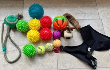 Honden (speel) pakket beschikbaar voor biedingen