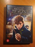 DVD Fantastic Beasts, Cd's en Dvd's, Dvd's | Science Fiction en Fantasy, Ophalen of Verzenden, Zo goed als nieuw, Vanaf 9 jaar