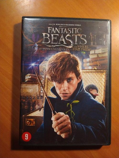 DVD Fantastic Beasts, Cd's en Dvd's, Dvd's | Science Fiction en Fantasy, Zo goed als nieuw, Vanaf 9 jaar, Ophalen of Verzenden