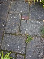 Tegels 60 x 40, Tuin en Terras, Tegels en Klinkers, Ophalen, Gebruikt, Beton, Terrastegels