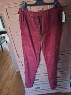 Bordeauxrood suedine  broek maat xl xxl, Kleding | Dames, Broeken en Pantalons, Maat 46/48 (XL) of groter, Nieuw, Ophalen of Verzenden