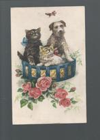 3001 Oude kunstkaart dieren poes poezen kat katten hondje, Verzamelen, Ansichtkaarten | Dieren, Ongelopen, Verzenden, Hond of Kat