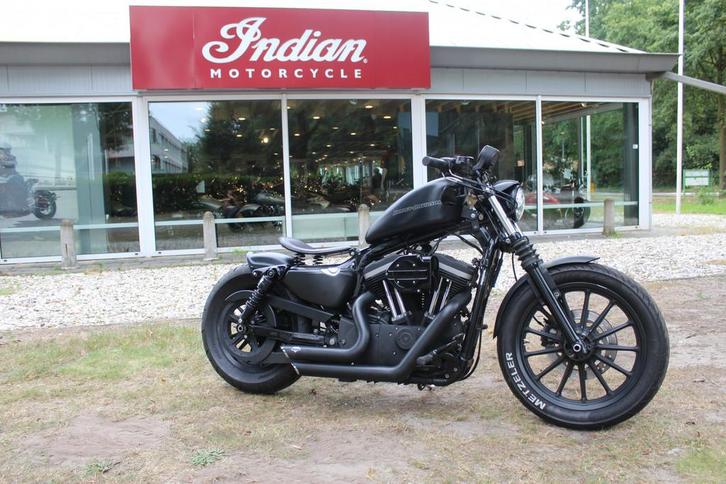 Harley-Davidson Sportster XL 883 XL883 IRON, Motoren, Motoren | Harley-Davidson, Bedrijf, Chopper, meer dan 35 kW