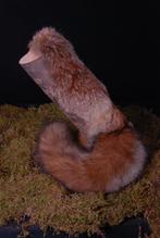 preparaat vos, Ophalen of Verzenden, Zo goed als nieuw, Wild dier, Opgezet dier