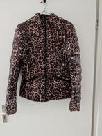 Panterprint mooie warme jas, Kleding | Dames, Jassen | Winter, Ophalen of Verzenden, Zo goed als nieuw