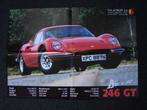 Ferrari Dino 246 GT poster, Verzamelen, Posters, Rechthoekig Liggend, Ophalen of Verzenden, Zo goed als nieuw, Overige onderwerpen