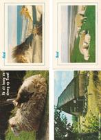 96 Ansichtkaarten Texel, Verzamelen, Ansichtkaarten | Nederland, Ophalen of Verzenden, Waddeneilanden