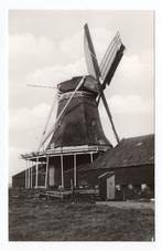 ZAANDAM - Oostzijderveld - Molen - K. Tanger - Reproductie, Verzenden, Ongelopen, Noord-Holland