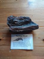 Versteend Hout - Arizona, VS, Ophalen of Verzenden