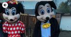 Mickey & Minnie Mouse mascotte pakken te huur, Hobby en Vrije tijd, Feestartikelen | Verhuur, Ophalen of Verzenden, Zo goed als nieuw