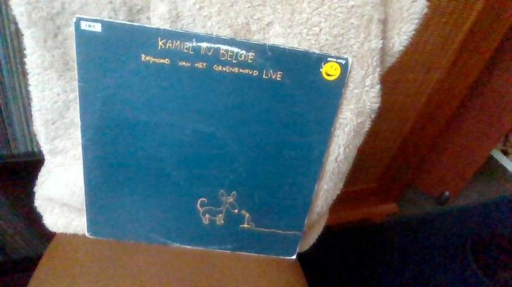 Raymond van het Groenewoud – Kamiel In België, Cd's en Dvd's, Vinyl | Rock, Gebruikt, Poprock, 12 inch, Ophalen