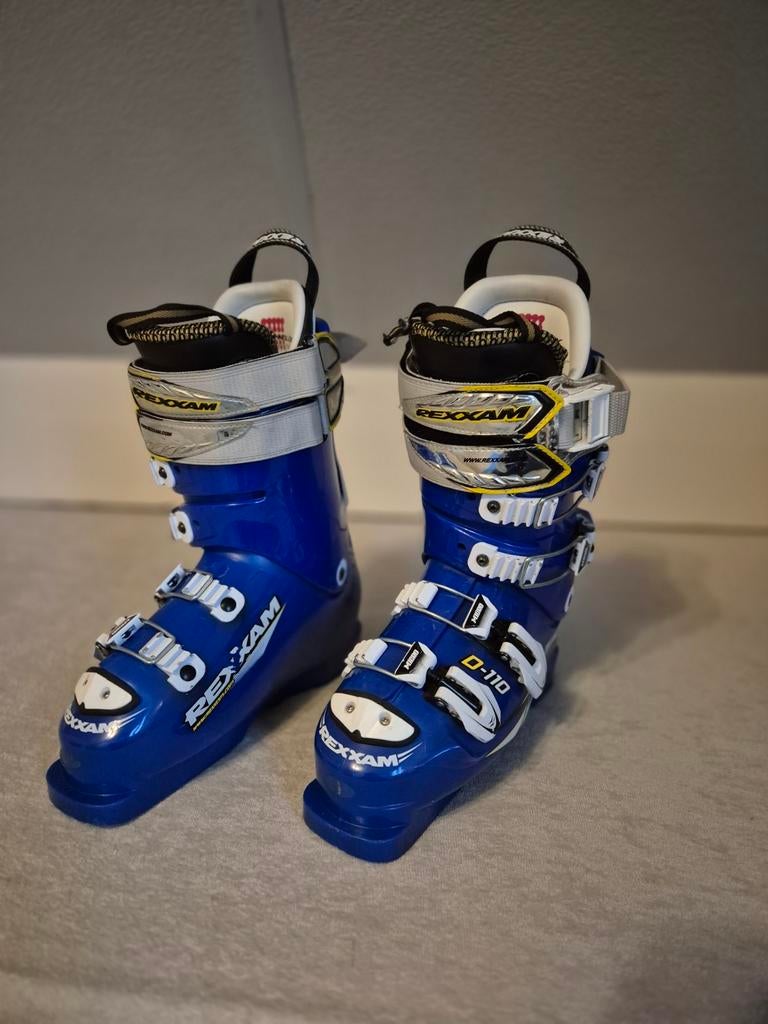 Skischoenen, Sport en Fitness, 140 tot 160 cm, Gebruikt, Schoenen, Ophalen