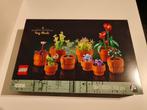 Lego 10329 Botanical miniplantjes (Icons), Ophalen of Verzenden, Zo goed als nieuw, Complete set, Lego