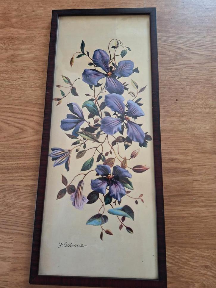 Tekening/ Foto in lijst van J.Osborne, Huis en Inrichting, Woonaccessoires | Lijsten, Minder dan 50 cm, Minder dan 50 cm, Hout