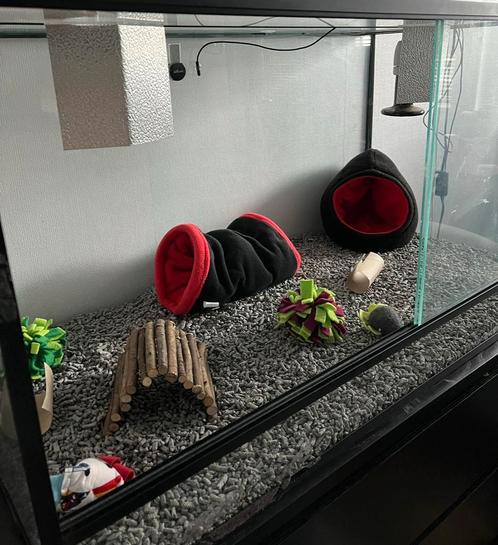 Glazen terrarium 100x50x50, Dieren en Toebehoren, Reptielen en Amfibieën | Toebehoren, Terrarium of Paludarium, Ophalen