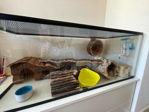 Alles voor de hamster, Dieren en Toebehoren, Knaagdieren en Konijnen | Hokken en Kooien, Zo goed als nieuw, Kooi, Minder dan 60 cm