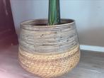 1 XXL rotan pot, Ophalen of Verzenden, Zo goed als nieuw, Rond, Riet