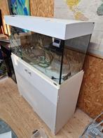 Ferplast 100 cm aquarium, Dieren en Toebehoren, Vissen | Aquaria en Toebehoren, Ophalen, Gebruikt, Leeg aquarium
