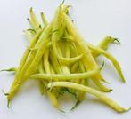 Franse Boon - Kinghorn Wax - bonen zaden, Tuin en Terras, Verzenden, Volle zon