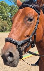 Hoofdstel Rambo micklem Full, Dieren en Toebehoren, Paarden en Pony's | Hoofdstellen en Tuigage, Ophalen of Verzenden, Gebruikt