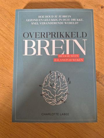 Charlotte Labee - Overprikkeld brein beschikbaar voor biedingen