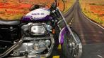 Custom paint Harley Davidson XLH883 hugger paars, Motoren, Particulier, 883 cc, Chopper, Meer dan 35 kW